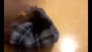 Исчезновение платка