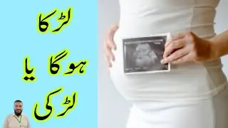 baby boy or girl ultrasound image | ultrasound sy bachy ki gens kysy mahloom Karin