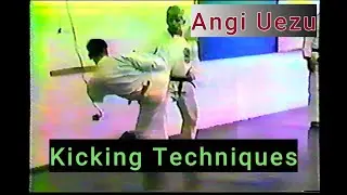 Angi Uezu "Kicking Techniques" Isshin-Ryu Karate Pennsylvania 1984