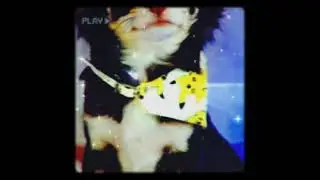 ❤🤟🏻❤