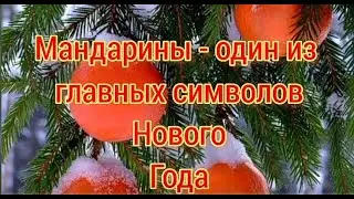 Мандарин - один из главных символов Нового Года