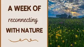 A week of re connecting with nature in Ireland