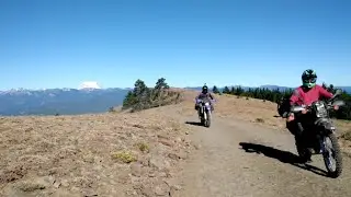 WABDR 2017 Review