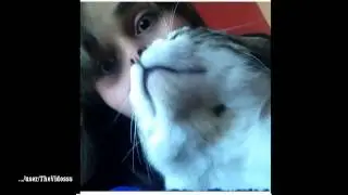 #SELFIE  Смешные СЕЛФИ  Приколы 2014 Сентябрь  Funny SELFIES