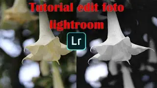 Edit Lightroom mobile Tutorial | Tutorial edit foto simple Lightroom android dan detail #1