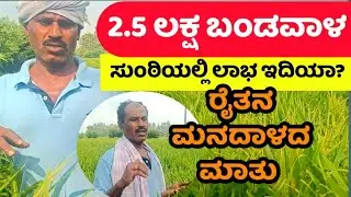 2.5 ಲಕ್ಷ ಬಂಡವಾಳ || ಸುಂಠಿ ಬೆಲೆ ಇಂದ ಲಾಭ ಇದಿಯಾ? || Farming vlogs || Ginger Farming in Kannada