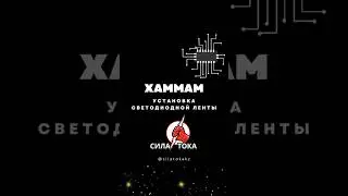 Компания СИЛА⚡️ТОКА СЕО Almas Bazarbekuly