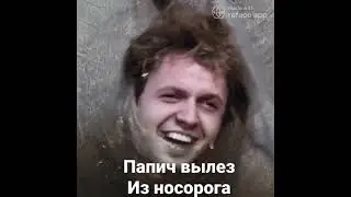 Папич вылез из носорога - #Deepfake