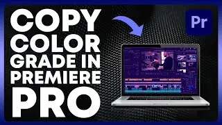 How to Copy Color Grading From Any Video in Premiere Pro