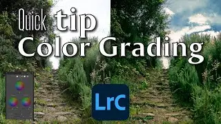🌈Lightroom gradación de color 🎨, crea estilos unicos con el color de tus fotos.