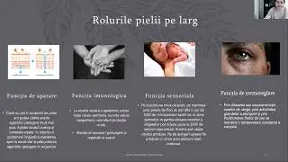 Pielea intre functional si estetic