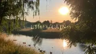 Sun Bleached Flies - Ethel Cain (slowed + reverb)