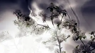 Asura - Requiem From Nowhere