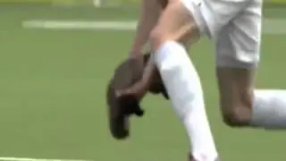Не только люди любят играть в футбол
