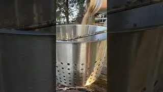 I Steamed Maryland Blue Crabs