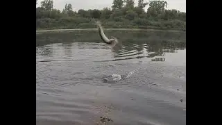 #РЫБАЛКА  Рыбалка выходного дня № 6 