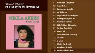 Medrovadan Çıktım - Necla Akben