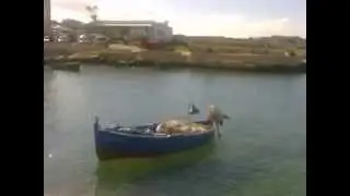 San Vito 1 Maggio 2014
