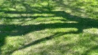 spring sounds