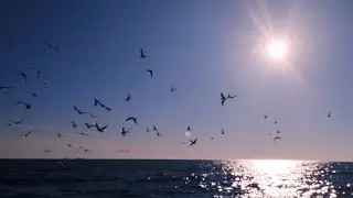 Квантовый Скачок. Живая практика.