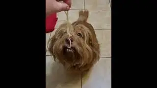 Когда в душЕ ты лев))