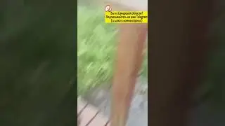 Сегодня был сильнейшей ураган с градом в Самарской области (Красноярский район)