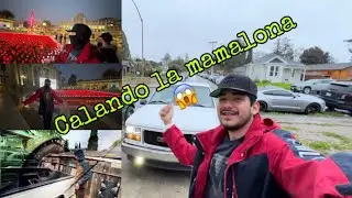 Calando La Mamalona Alberto Rodríguez Blog De La Semana#2Ft Dani El Loko