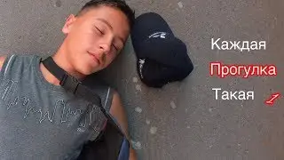 Каждая прогулка такая 1