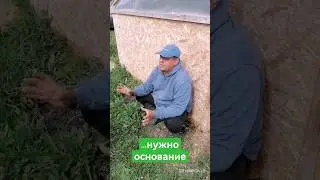 Как выбрать нишу для фермы
