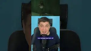 Девушка в подвале