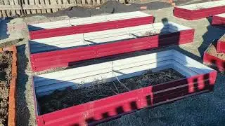 На участке | Наши 6 соток