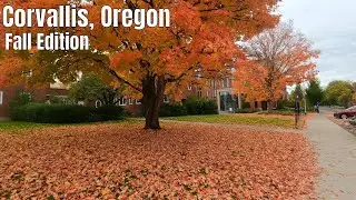 Downtown Corvallis, Oregon (and more) Walking Tour 4k