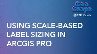 Using Scale-Based Label Sizing in ArcGIS Pro