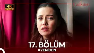 Çalıkuşu 17. Bölüm 