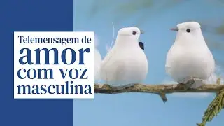 Telemensagem de Amor 💞 (com Voz Masculina)