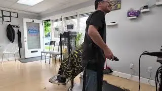 No More mullet, pay me $100 dollars!