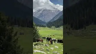 Релакс #nature #киргизия #рекомендации #mountains #travel #горы #рек #путешествия #природа #тяньшань