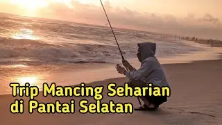 Pemula Mancing 💥Jackpot Ikan Ini Gak Berani Pegang‼️