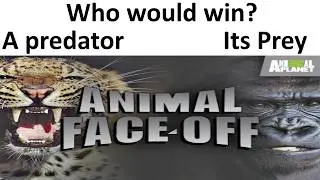 Animal Face Off was Pointless