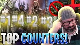 NO MORE STRUGGLES IN ARENA! BEST Champions That IGNORE Stoneskin | Raid Shadow Legends