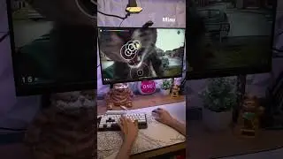 Miau Phonk 