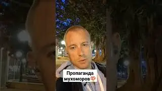 #мухоморныймикродозинг