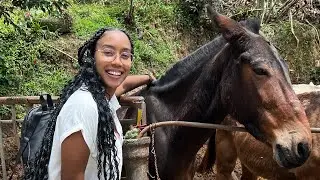 Conocimos como es el proceso del café 🇨🇴😍