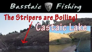 The Stripers are Boiling / Topwater Action at Castaic Lake