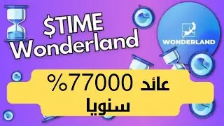 جربت مشاريع الداولمده 4 شهور اعلي عائد للاستيكنج Time wonderland, Rome Dao ,Titano