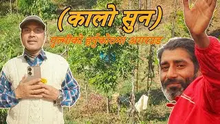 Aagarwood Nepal🇳🇵 || Episode - 2🌳 || Gulmi🌱  || Dilip Bhandari🪵✅