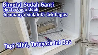 kulkas sharp 2 pintu bagian bawah tidak dingin