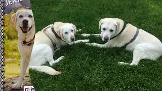 Jenna 8/29/2005-6/26/2016