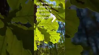 https://t.me/olginkatravelЬ☀️😎