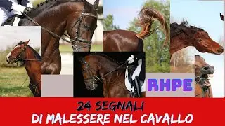 24 Segnali del malessere del cavallo - L'indice RHpE